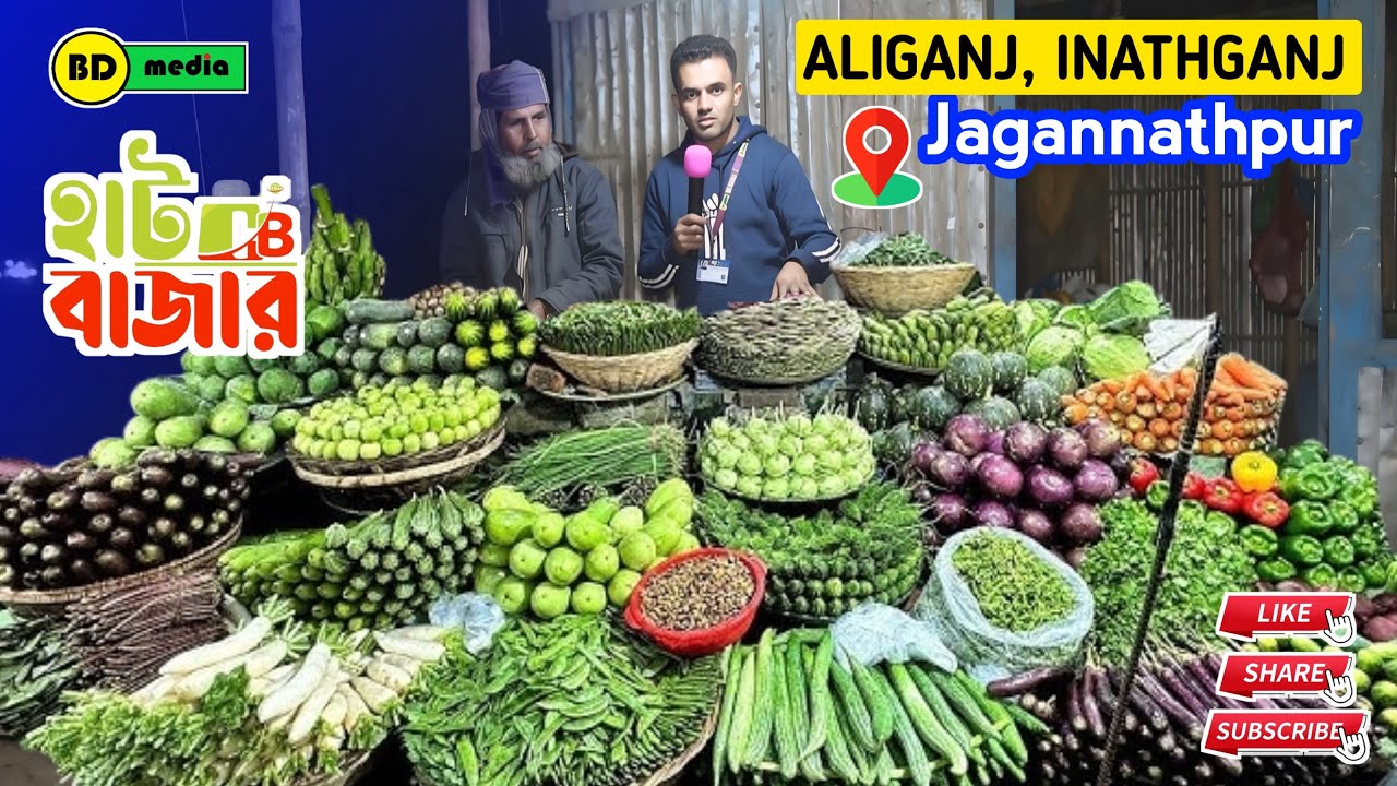 Aliganj Haat Bazar Inathganj - Jagannathpur আলীগঞ্জ হাট বাজার ইনাতগঞ্জ - জগন্নাথপুর