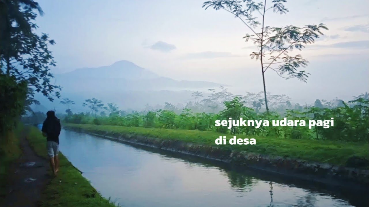 Pagi yang Damai di Desa Indonesia | Peaceful Village Morning in Indonesia