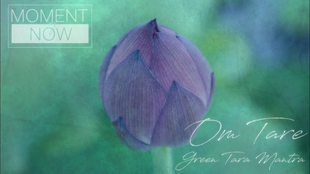 MOMENT OF NOW - Om Tare (Green Tara Mantra) - Om Tare Tuttare Ture Soha
