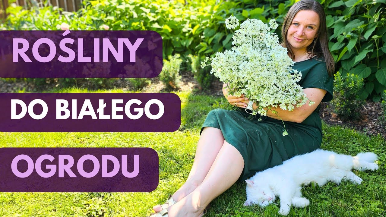 Rośliny, dodatki do TWOJEGO ogrodu.  Byliny, krzewy, drzewa. KULE srebrne, RZEŹBY. Mega JAKOŚĆ.