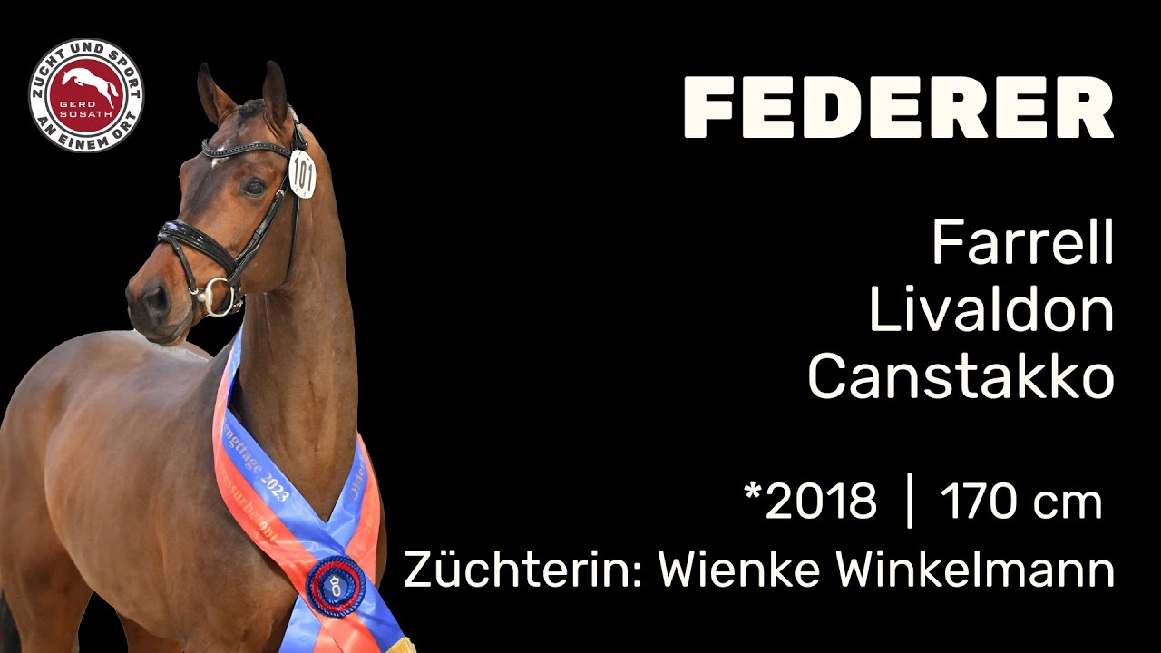 Federer *2018 von Farrell x Livaldon | Hengstschau Sosath 2025