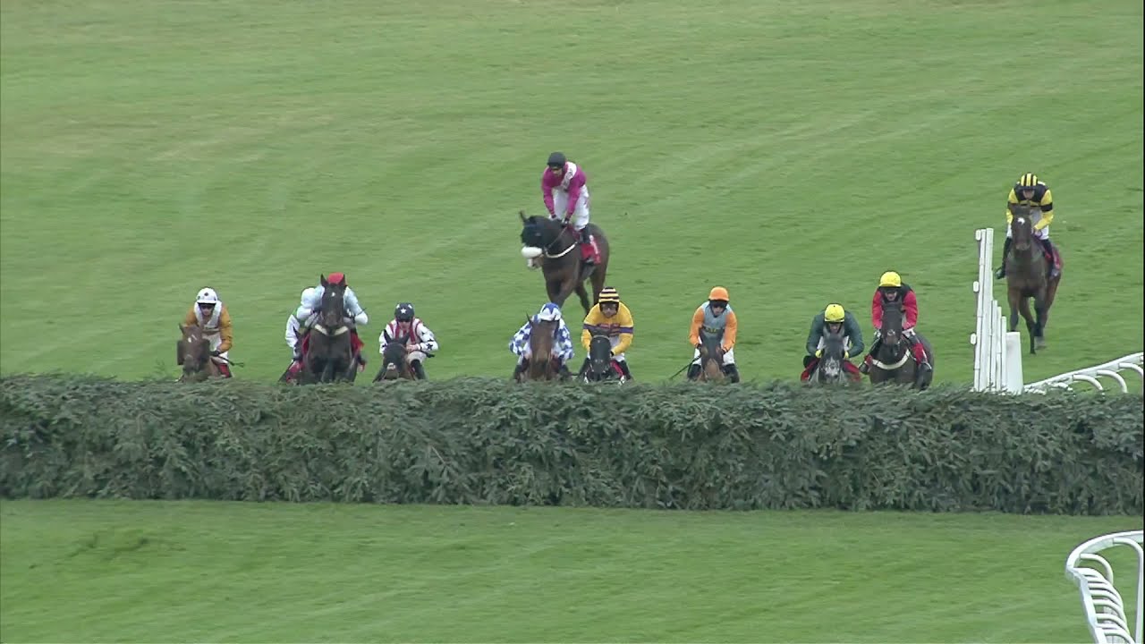 Hogan's Height wins the Grand Sefton Chase at Aintree