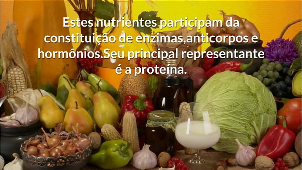 Tipos de nutrientes- PARTE 2