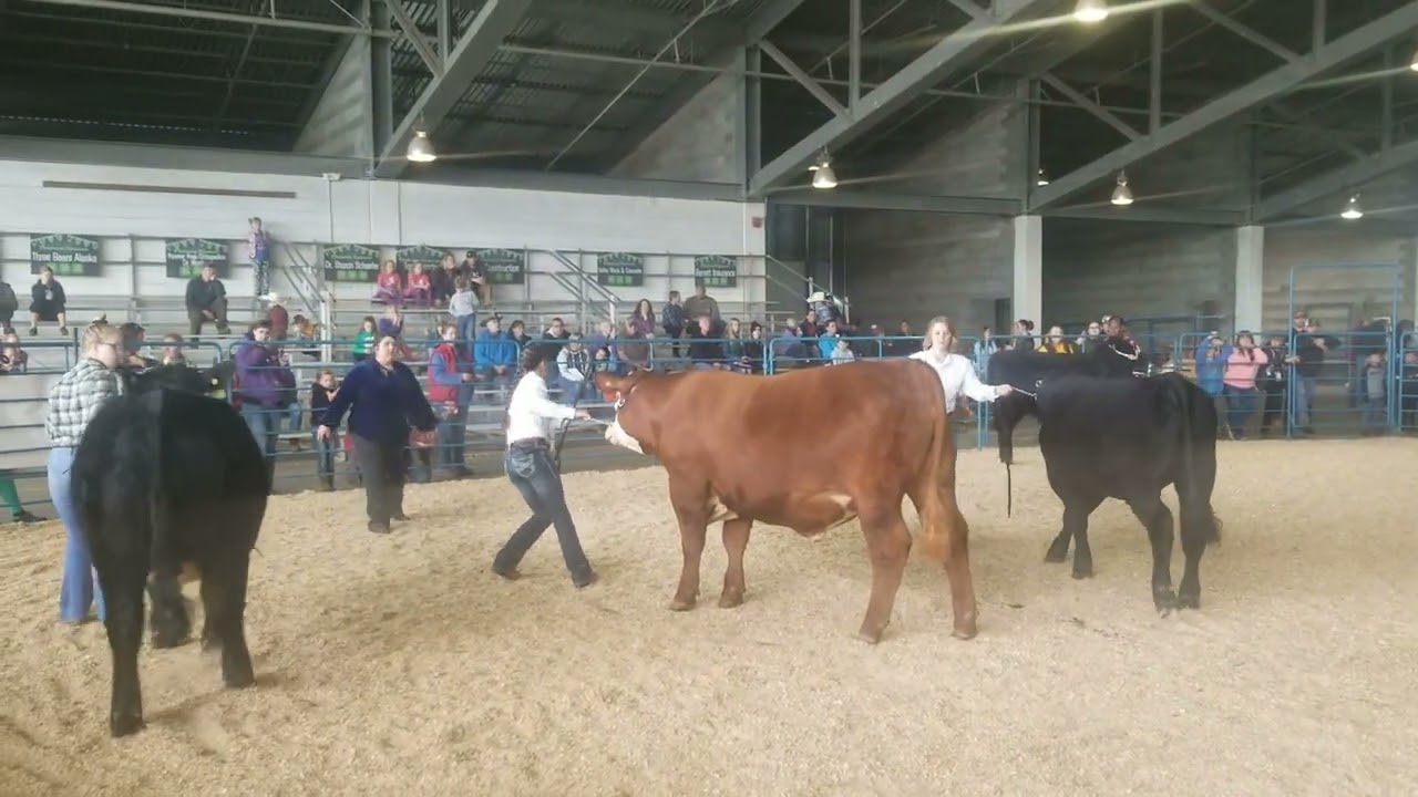 2022 Senior Beef Showmanship