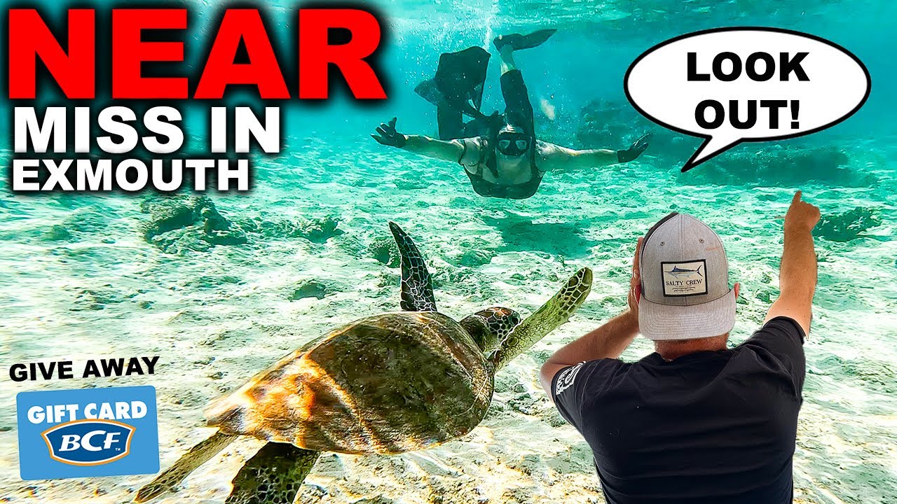 NINGALOO REEF|Best snorkelling in Exmouth!