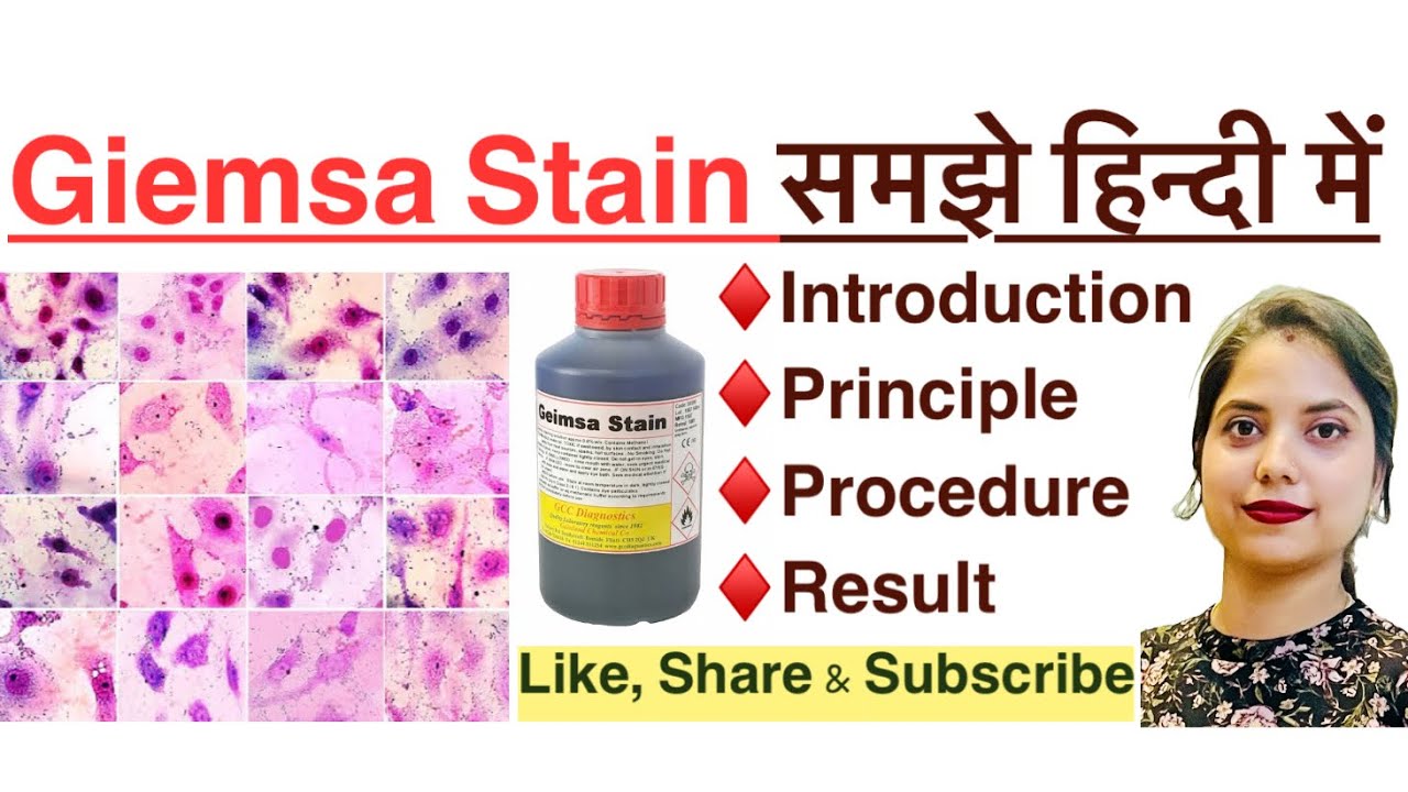 Giemsa stain in Hindi | principle | procedure | result | MLT | histopathology | Haematology