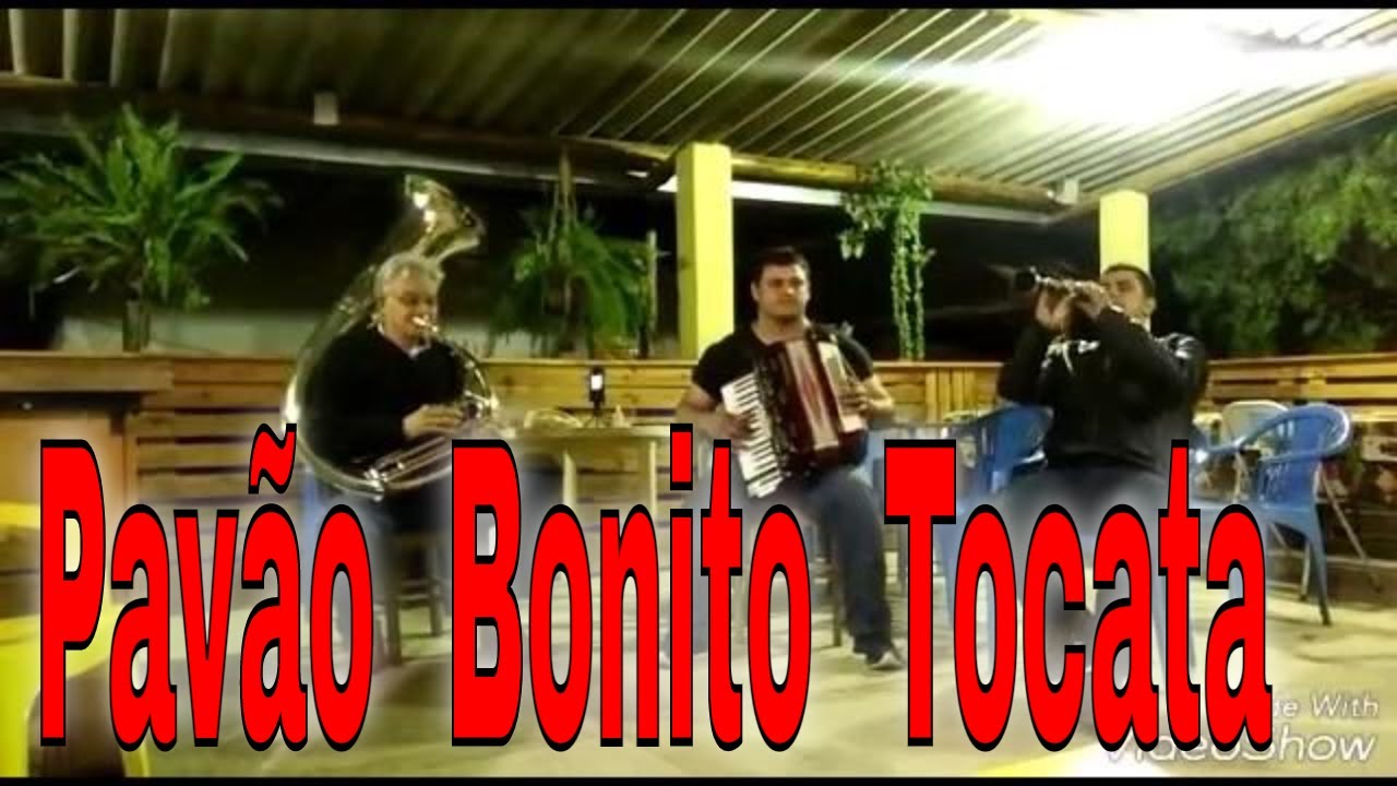 TOCATA  CCB -  #EgnaldoNovaes @TOCATASESTILOPRIMITIVO