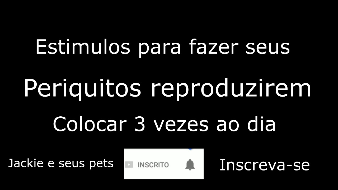 Canto para estimular seus periquitos a reproduzirem - 2018