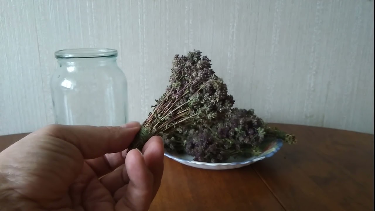 Чабрец. Как я завариваю и пропиваюсь