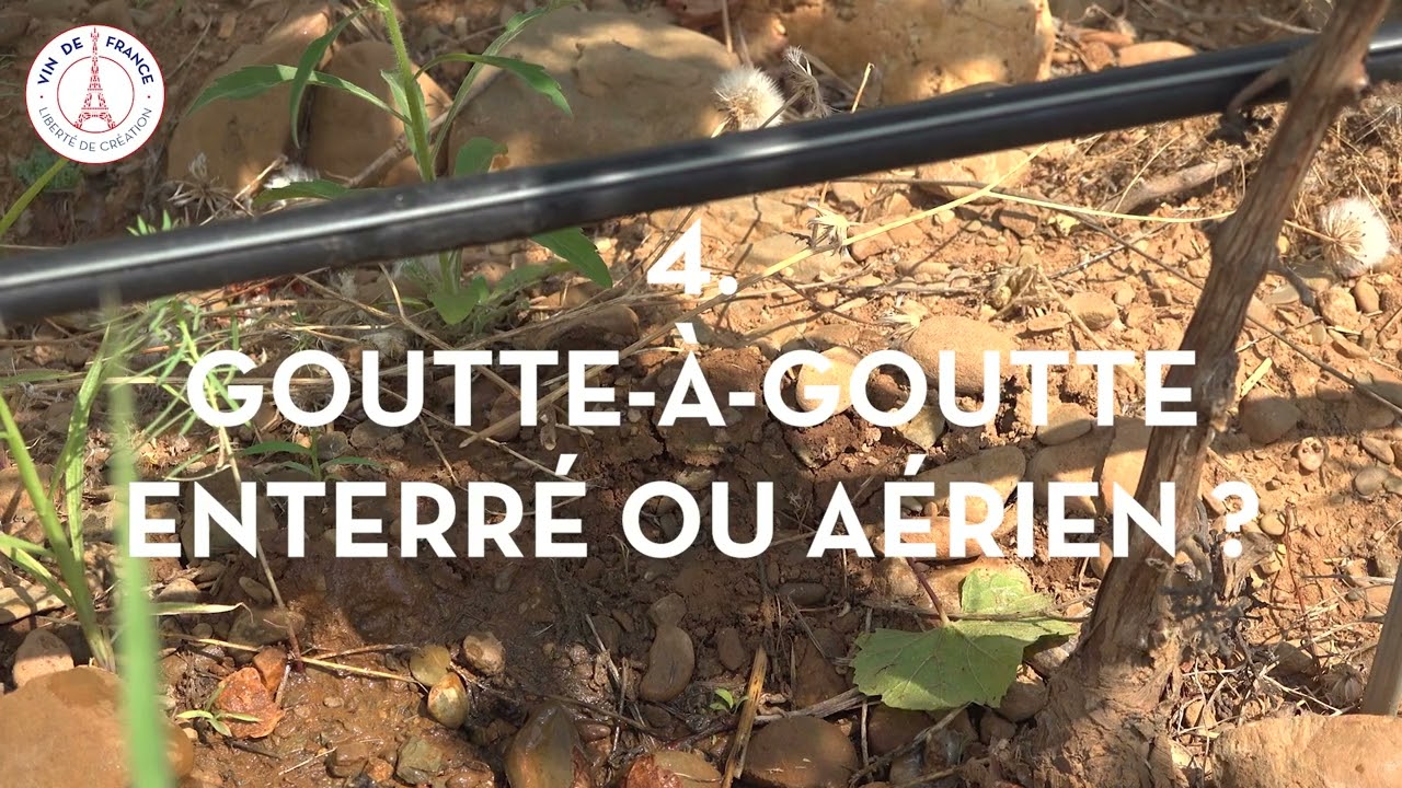 Tuto : Installation d'un système d'irrigation goutte-à-goutte