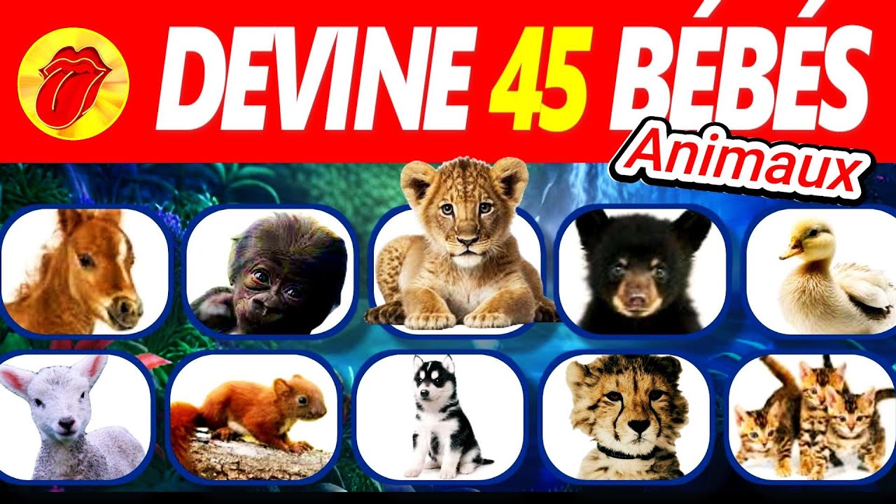 🐻‍❄️Devine 45 BÉBÉS ANIMAUX en 3 sec - Apprends tous les bébés animaux en Français - Quiz Animaux