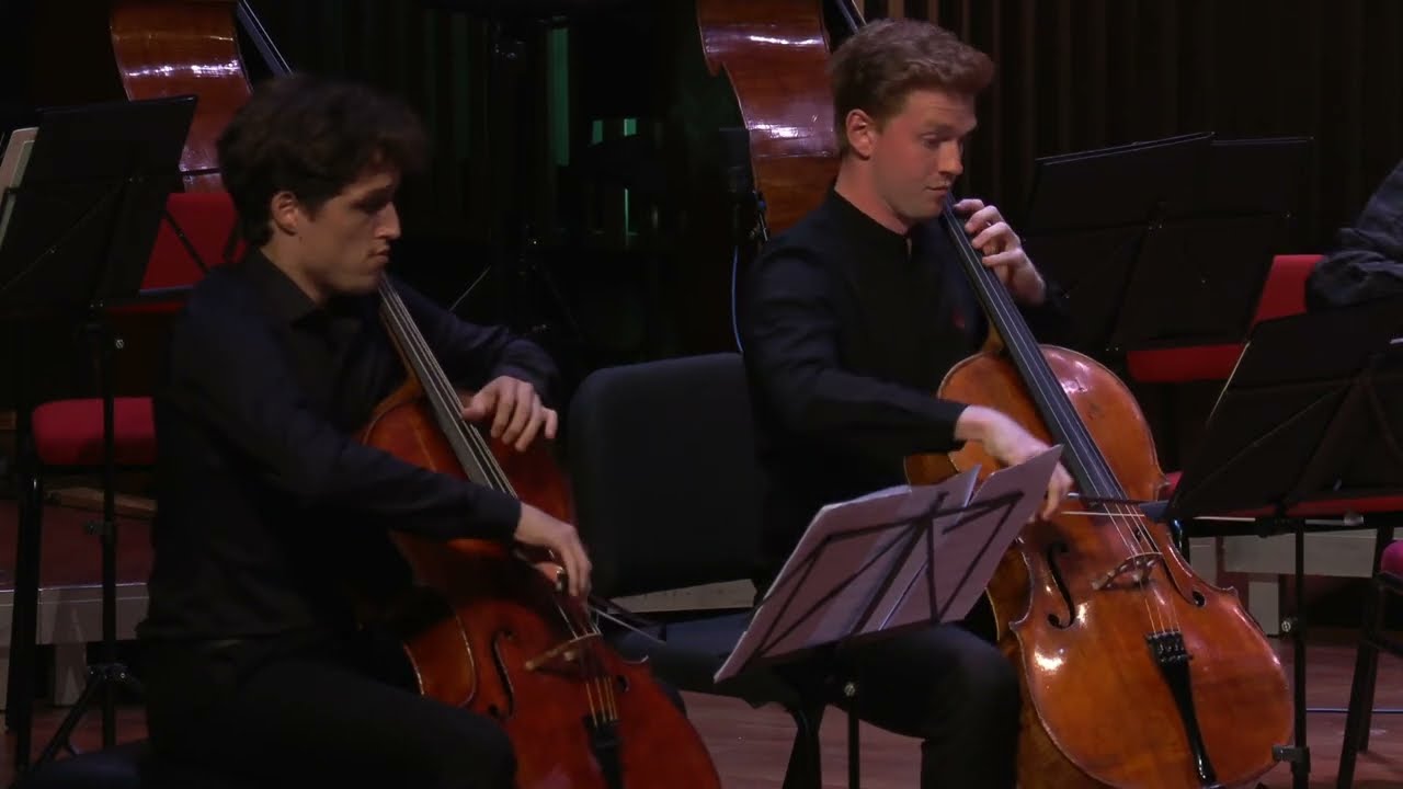Mladen Miloradovic - Variations on Dvořák 8 | Cello Biennale Amsterdam 2022