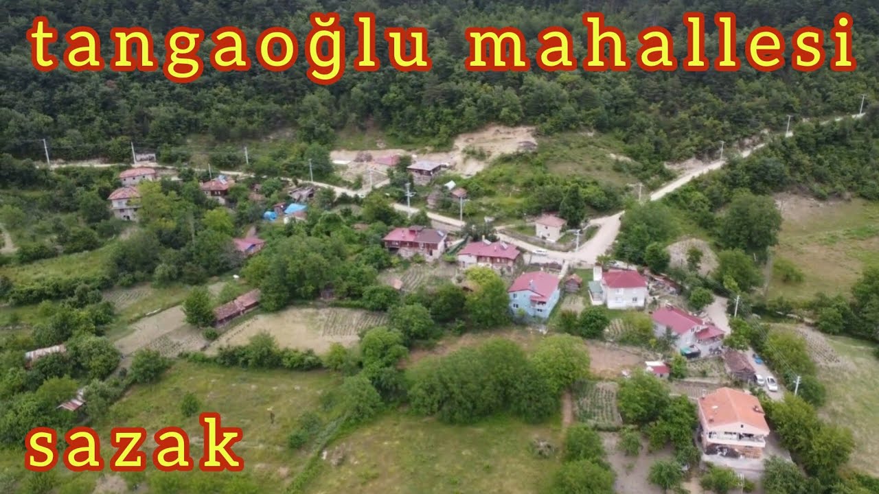 Sazak köyü Sinop/Gerze Tangaoğlu ve akçaören mahalleleri. ( dji mini 2)