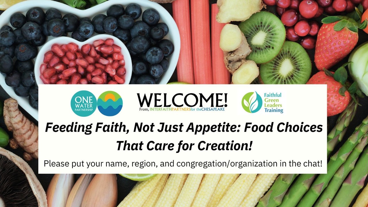 Feeding Faith, Not Just Appetite: Food Choices That Care for Creation