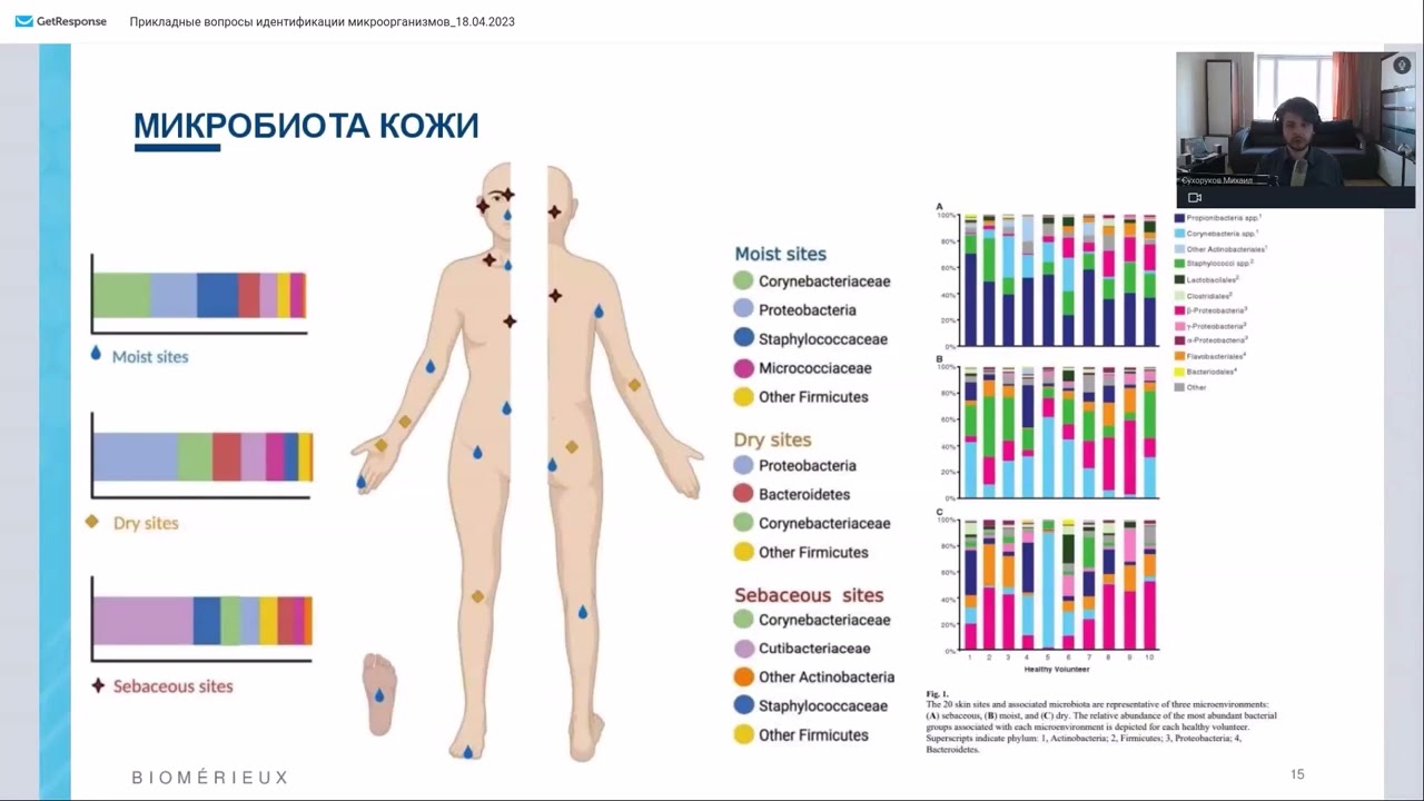 Вебинар bioMerieux. Прикладные вопросы идентификации. 18.04.2023