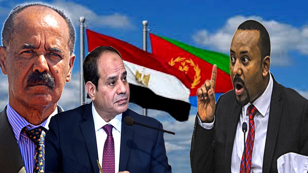Why Did Eritrean President Isaias Afwerki Visit Egypt? 