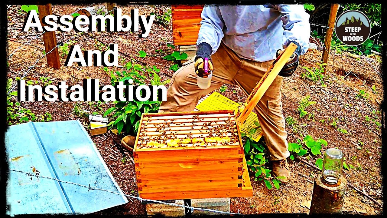 Hive Box Assembly And Installation - Hoover Hive