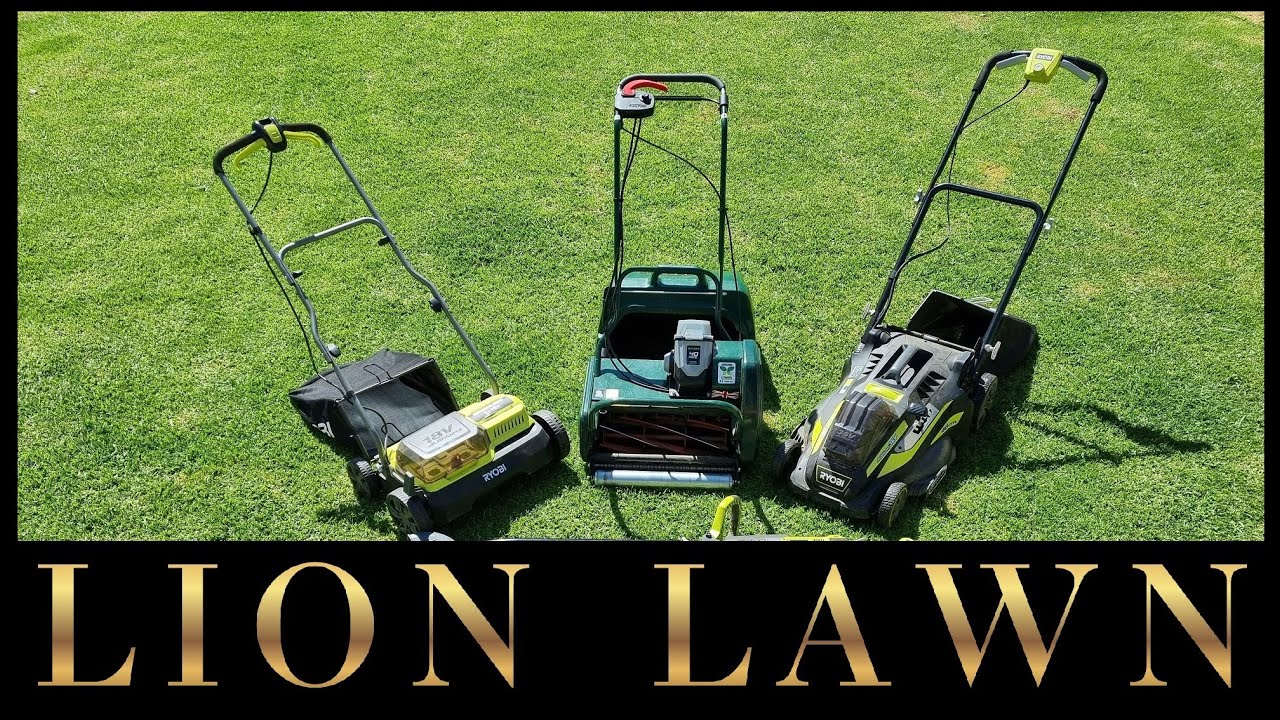 Kikuyu Lawn Renovation - 2022