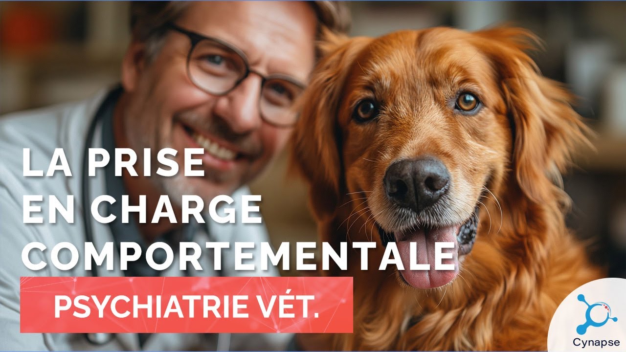 La prise en charge comportementale - PSYCHIATRIE VÉTÉRINAIRE