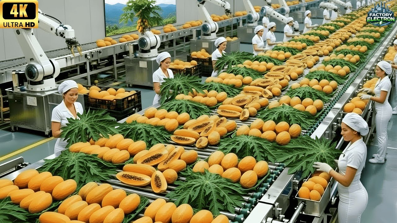Inside a Modern Papaya Flower & Leaf Processing Factory – From Raw to Finished (Full Process)