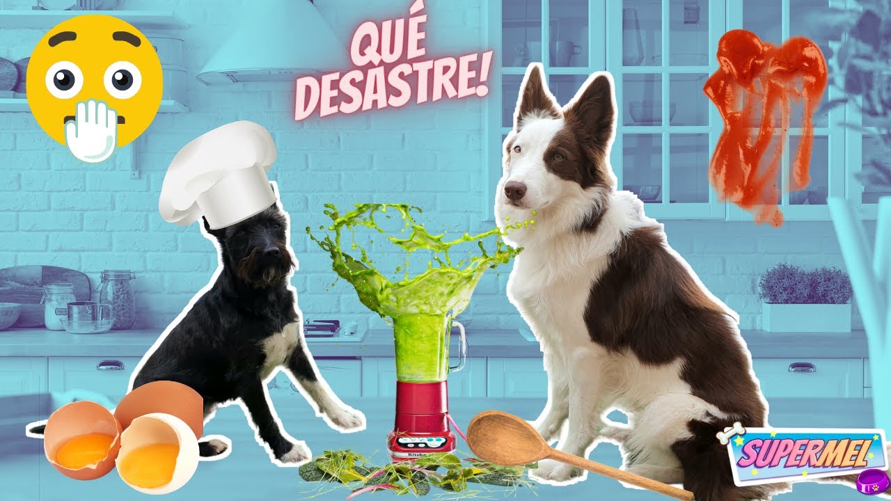 Mis PERROS me PREPARAN el DESAYUNO! 😅 Mel y Lana