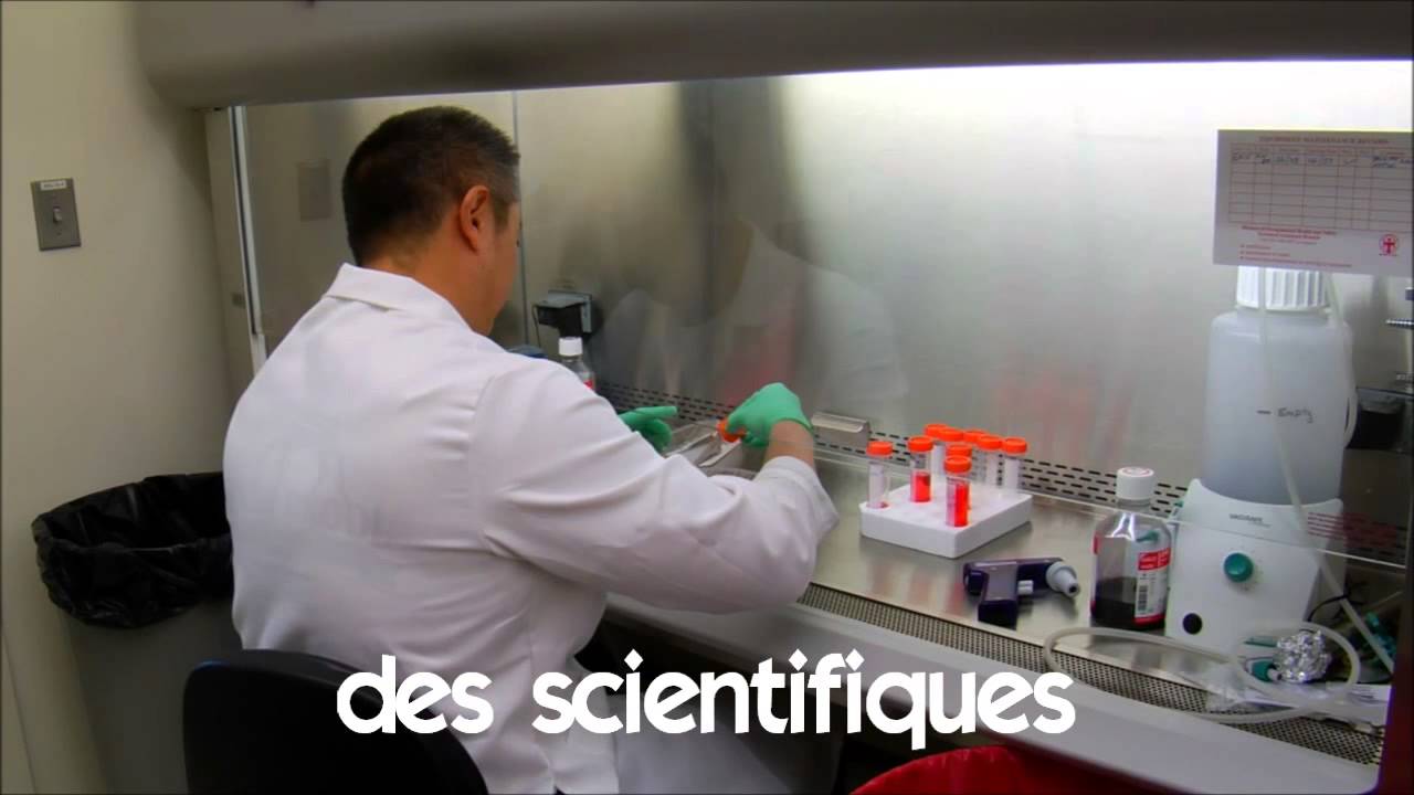 Učit se francouzsky # Vocabulaire # des scientifiques