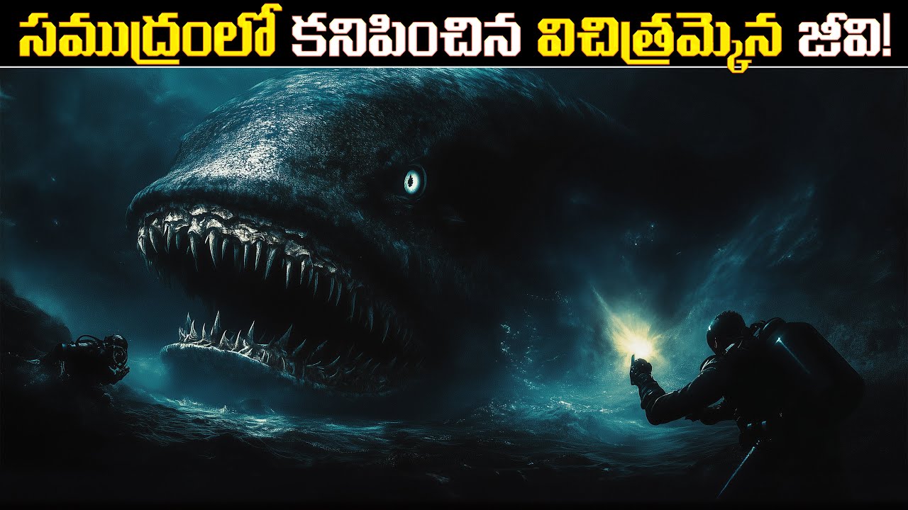 సముద్రంలో కనిపించిన విచిత్రమైన జీవులు | TOP 5 MYSTERIOUS SEA CREATURES