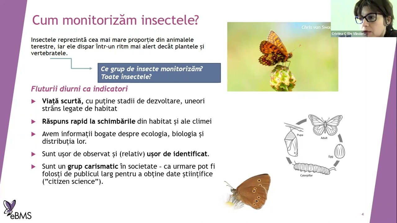 Romania BMS workshop 15April 2022 (in Romanian)