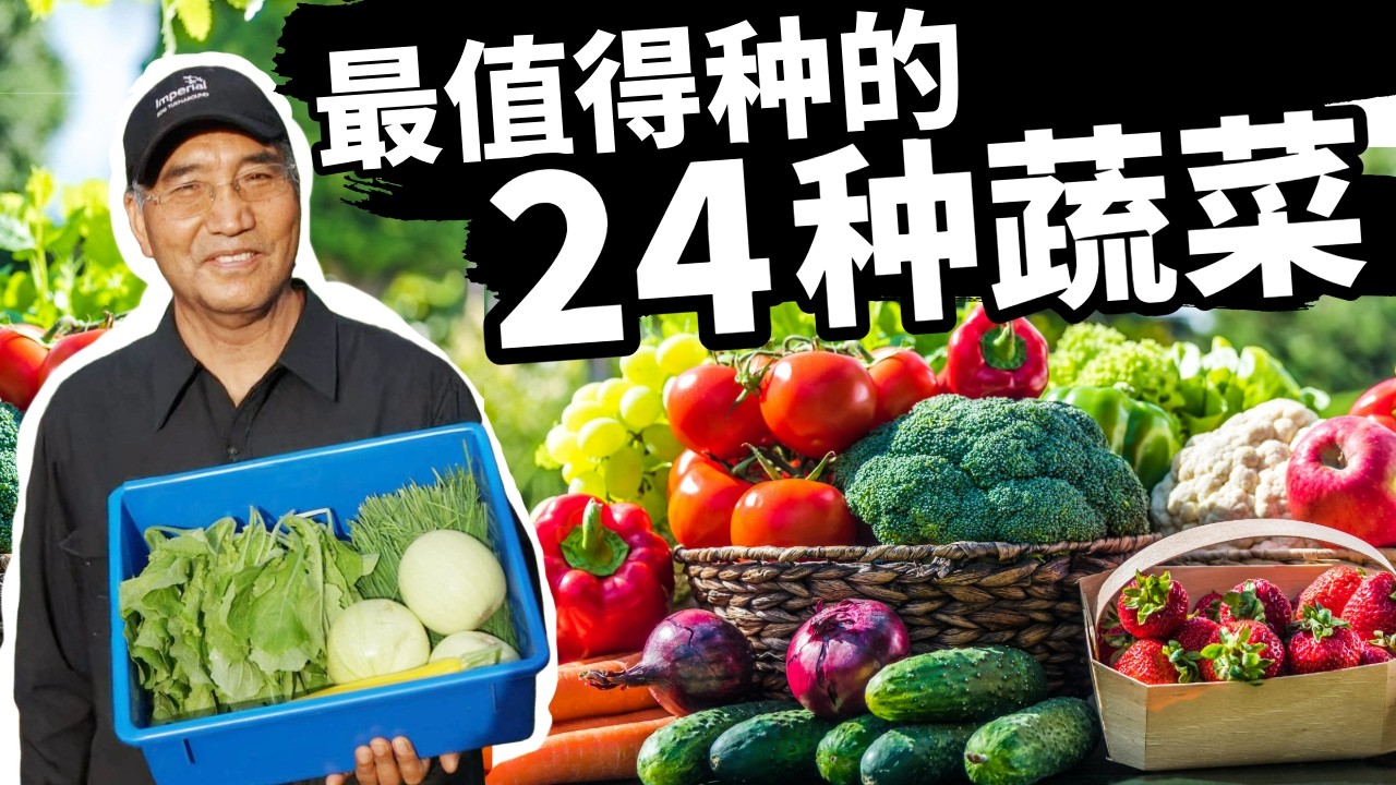 今年种什么？给您推荐最值得种的24种蔬菜, 让您全年收获满满！