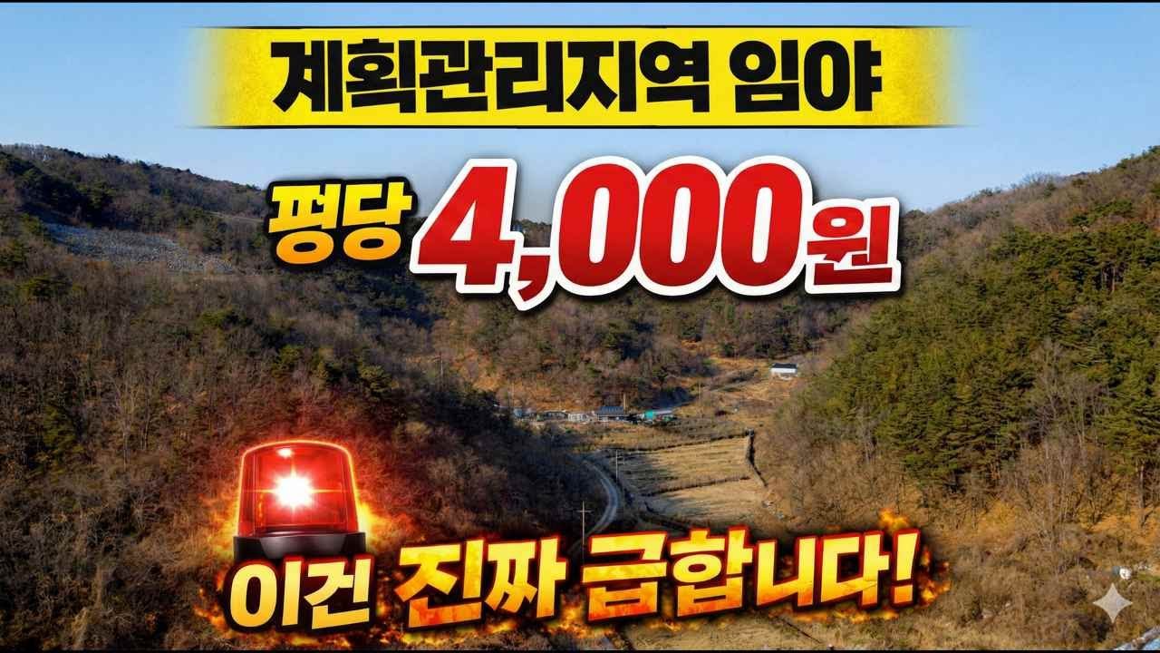 평당 4,000원? 실화입니다… 대한민국 1% 귀한 ‘전체 계획관리’ 임야 (긴급),버릴 땅이 단 1평도 없습니다. 전체가 돈 되는 용도지역 임야매물 놓치면 후회합니다!