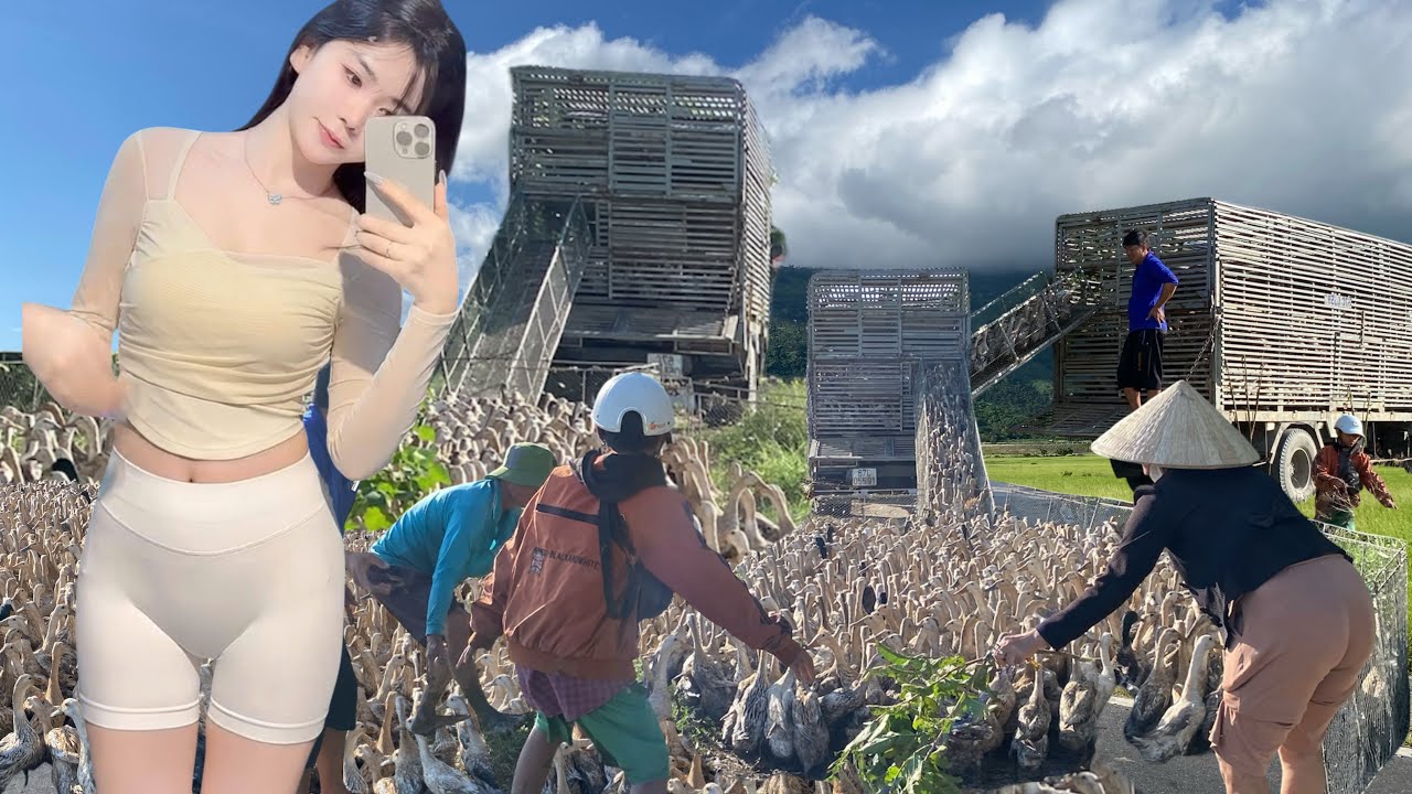 Full Video: How a Vietnamese Farm Girl Manages Thousands of Ducks During Flood Season  
