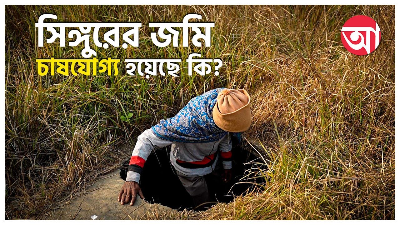 ‘দিদি একবারই এয়েছিল, বেচারাম গাঁয়েই আসে না’, জমি দেখিয়ে বললেন সিঙ্গুরের চাষি | Singur Ground Report