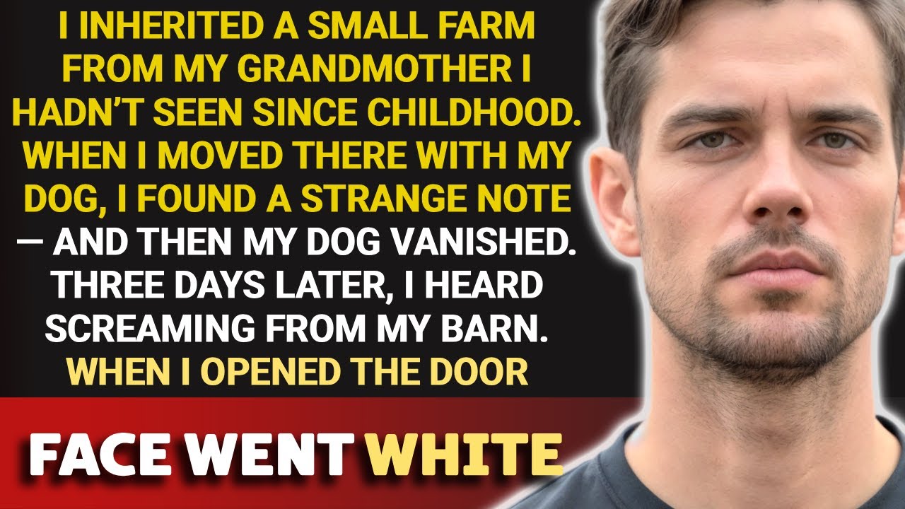 I Inherited a Small Ranch and Moved There With My Dog—The Next Morning, I Heard Screaming From the B