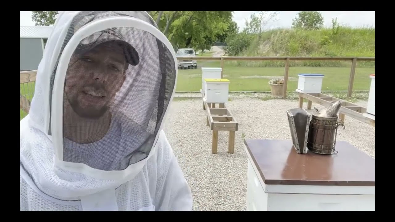 June 2022 Beekeeping Tips