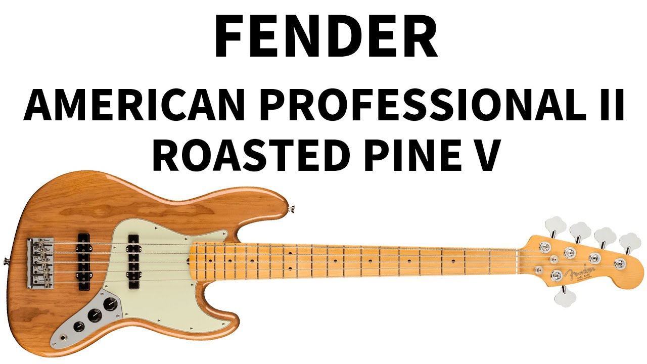 FENDER AMERICAN PROFESSIONAL II ROASTED PINE 5현