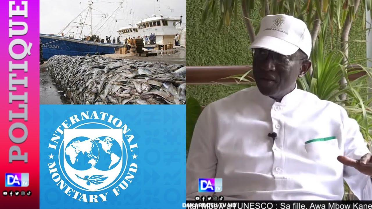 FMI sur la programmation de prêts pour le Sénégal: Amadou Bâ prédit…