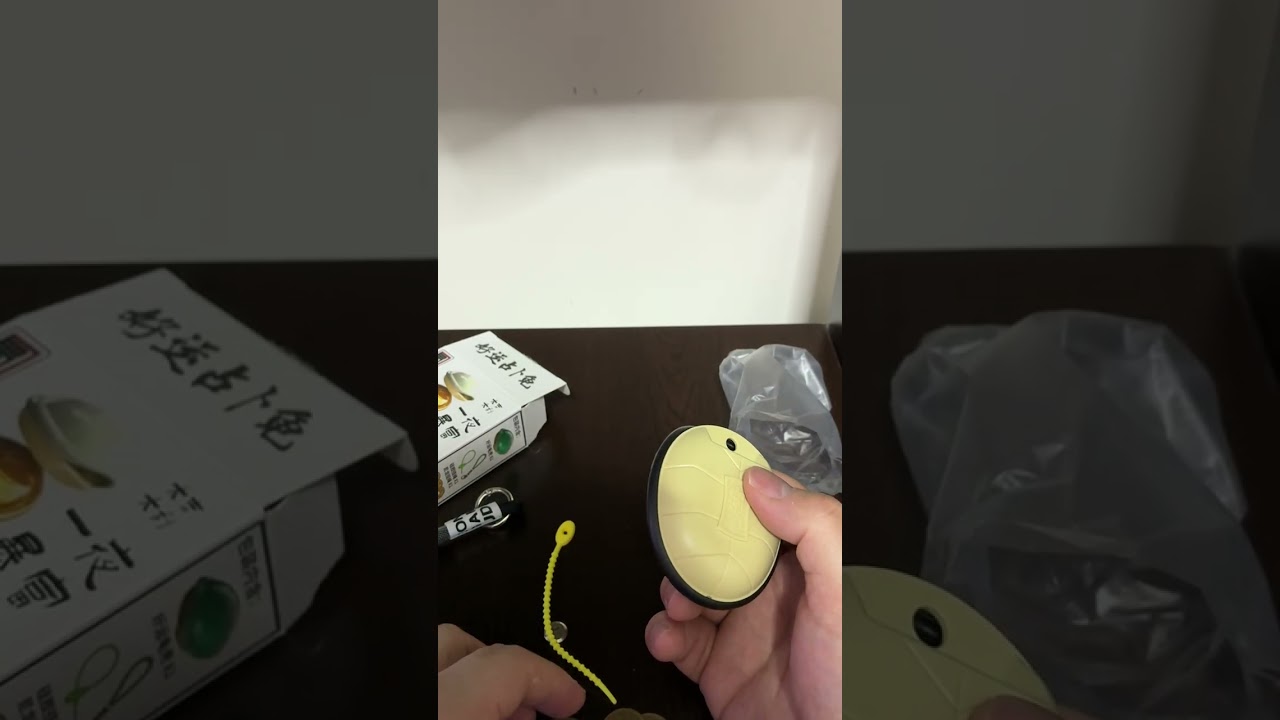 開箱好運占卜龜玩具。講下金錢占可以用品。請幫手 訂閱、按讚，多謝大家！！！