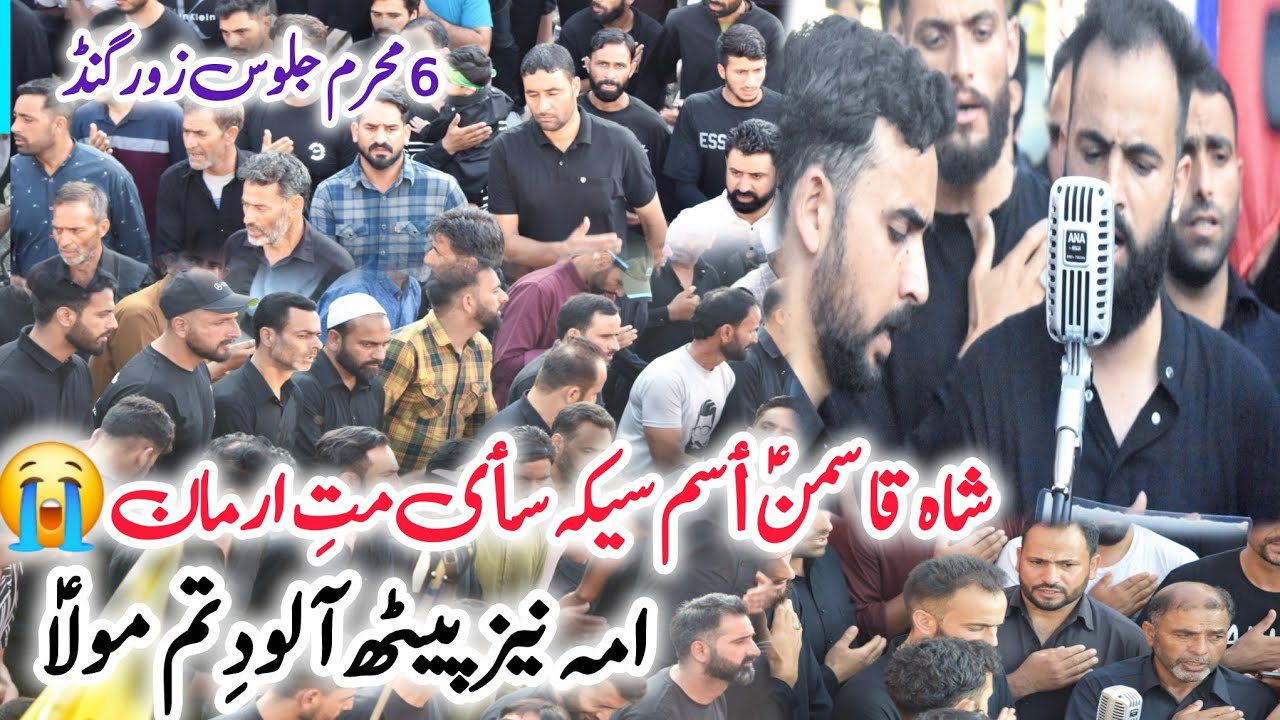 6th muharrm jaloose|New noha |shah Qasiminع||Moula Moulaع||Zoorigund budgam2024