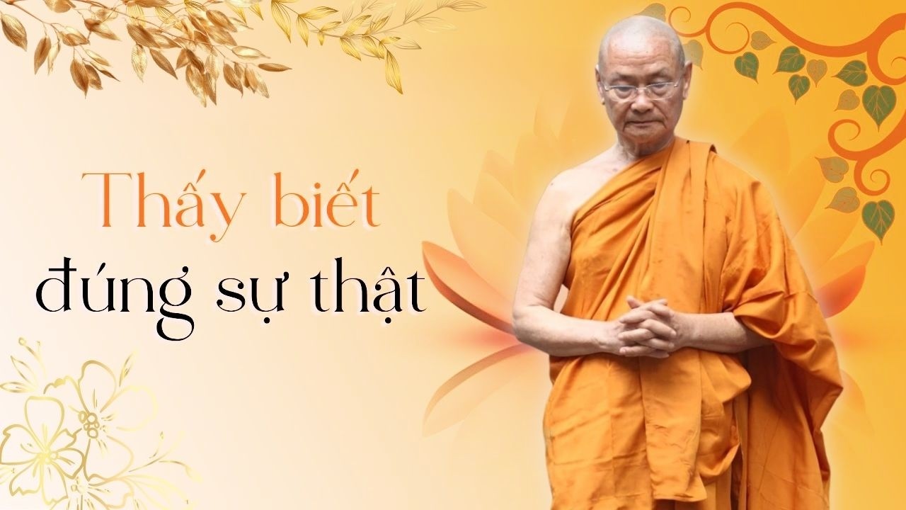 Thấy Biết Đúng Sự Thật Là Bước Đầu Của Trí Tuệ | HT. Viên Minh