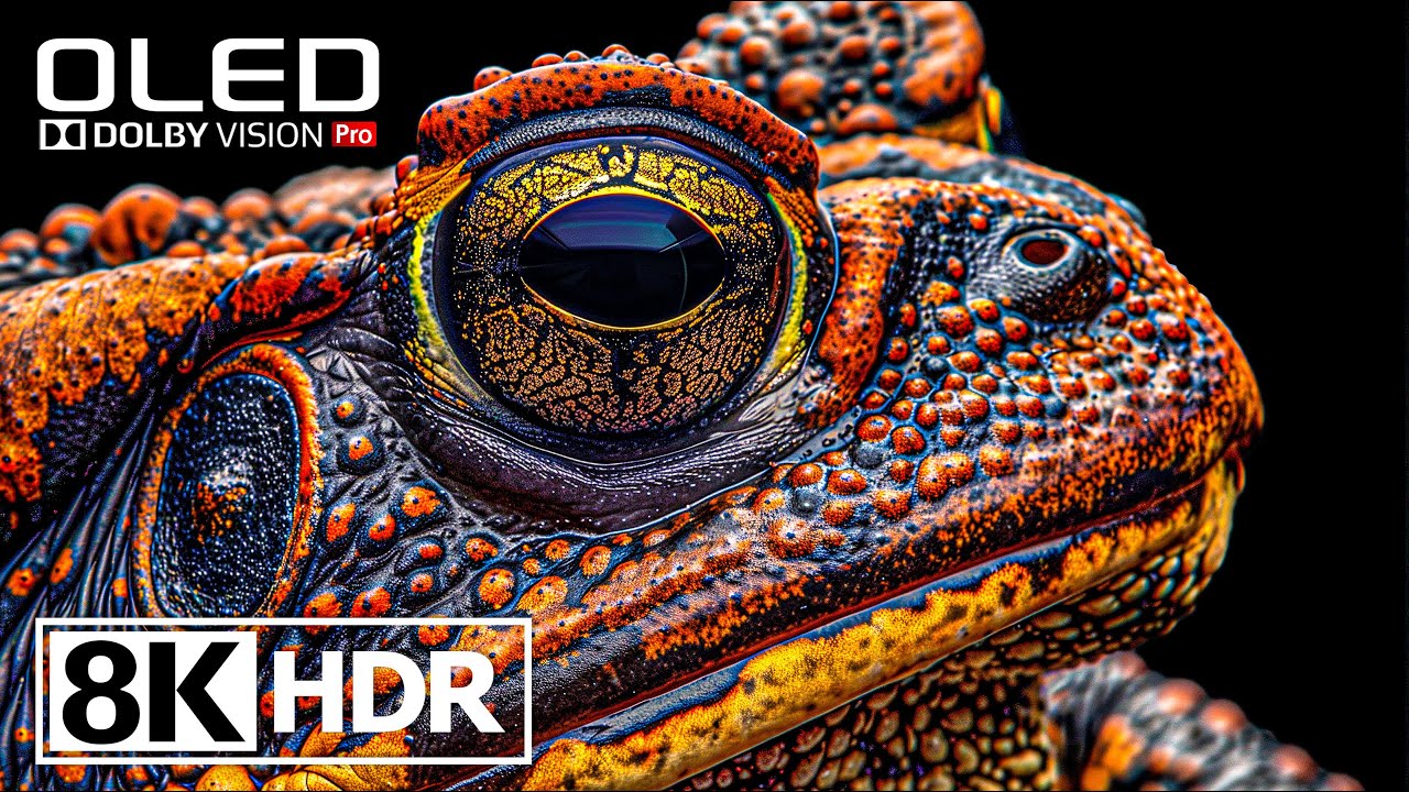 Потрясающее видео HDR 8K 60FPS с Dolby Vision (8к видео)