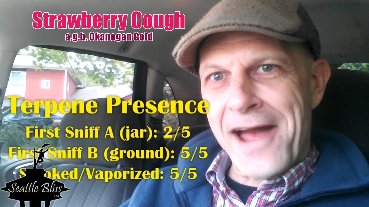 Strawberry Cough by Okanogan Gold 2019 Marijuana Strain Review