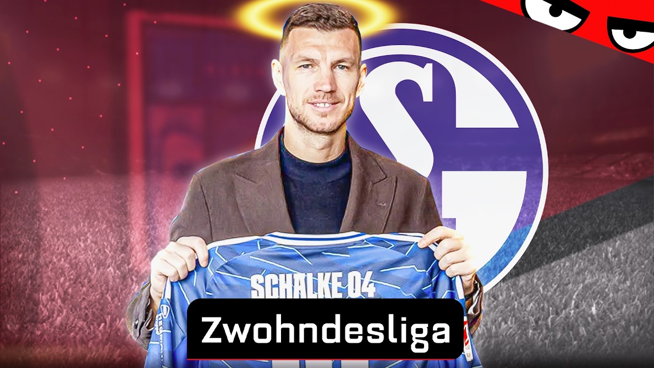 Der EDIN DZEKO Hype ist REAL! Geht SCHALKE hoch? | Zwohndesliga