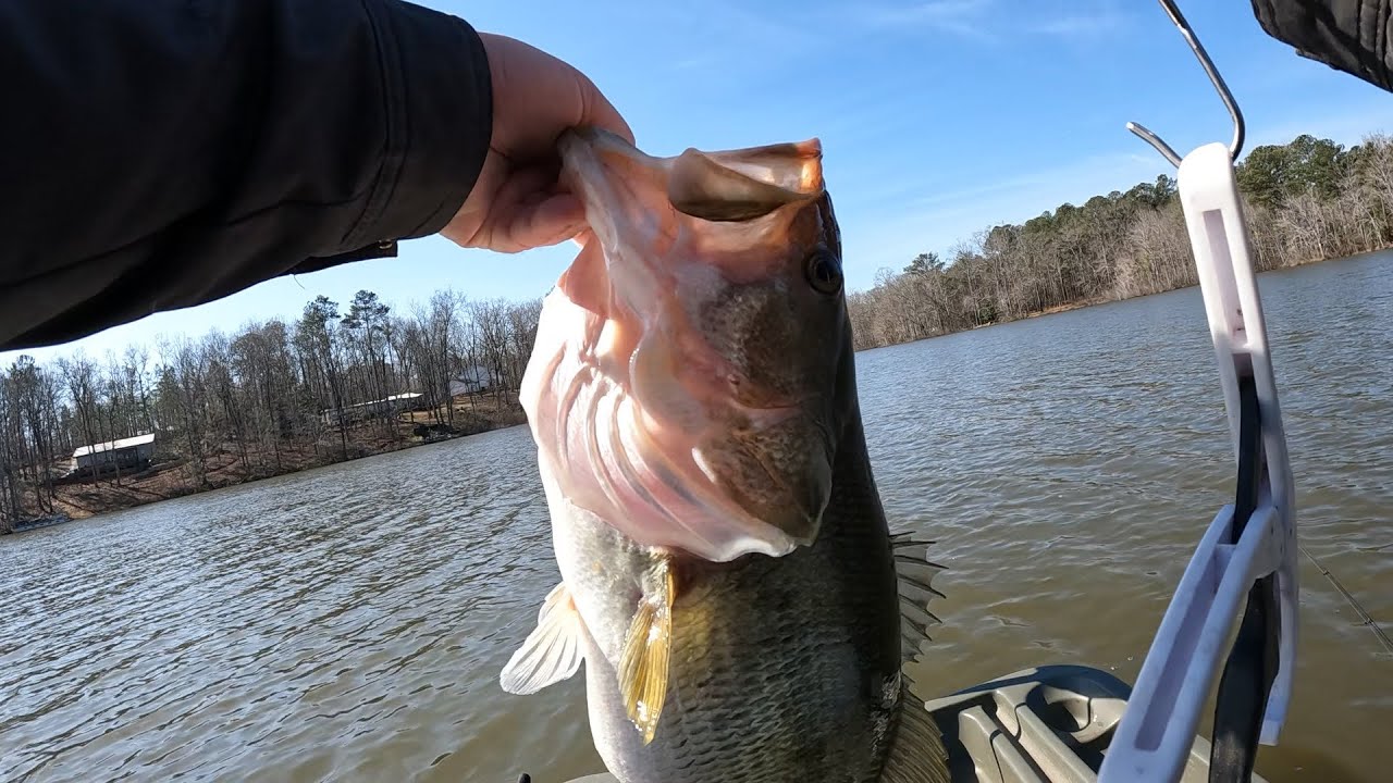 Early February Fishing w/ the Booyah Covert Spinnerbait