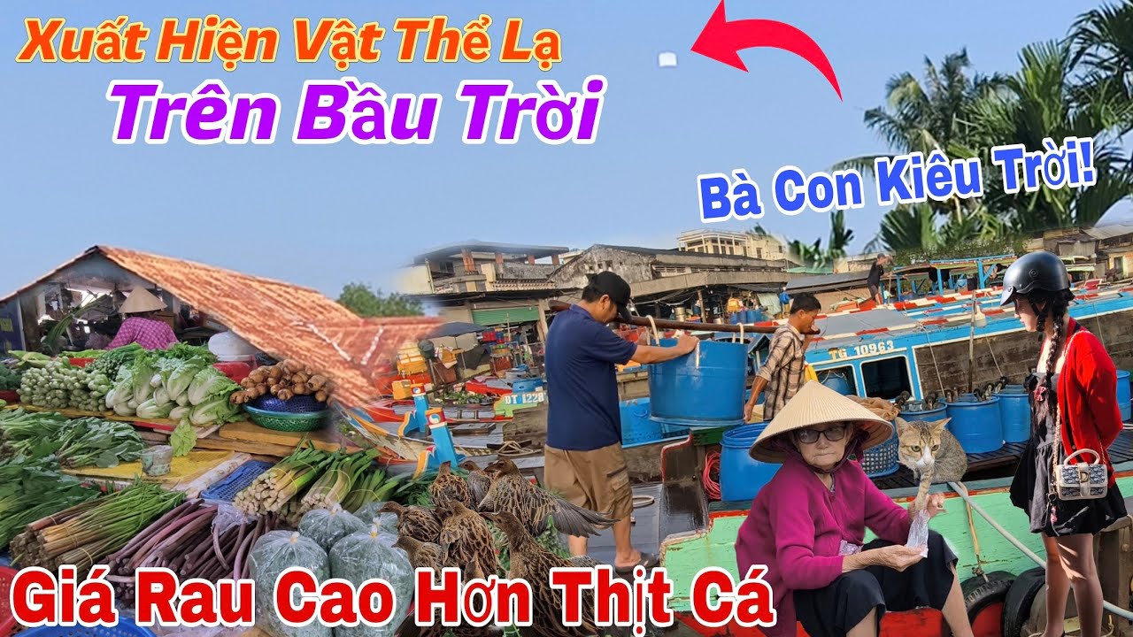 Xuất Hiện Vật Thể Lạ Trên Bầu Trời Vĩnh Long - Chợ Mỏ Cày Giá Rau Cao Hơn Thịt Cá, Bà Con Kiêu Trời