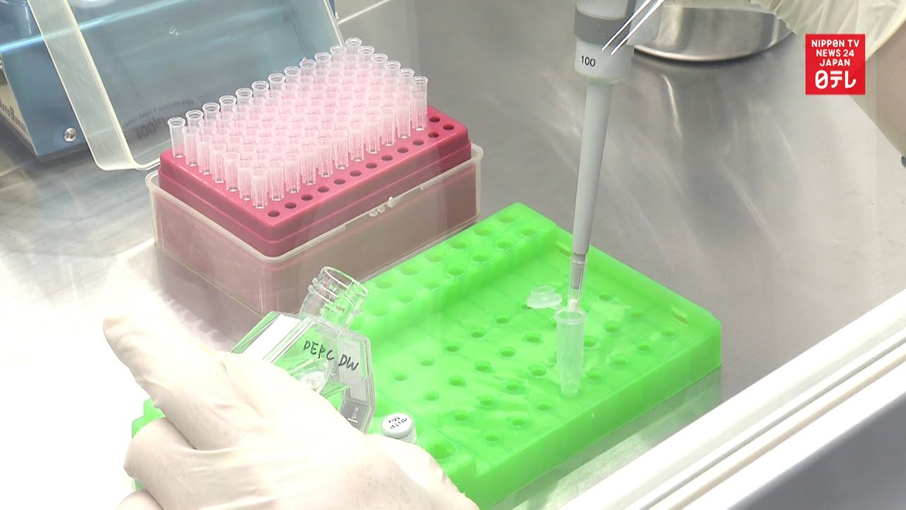 CORONAVIRUS: Quick virus test developed in Japan