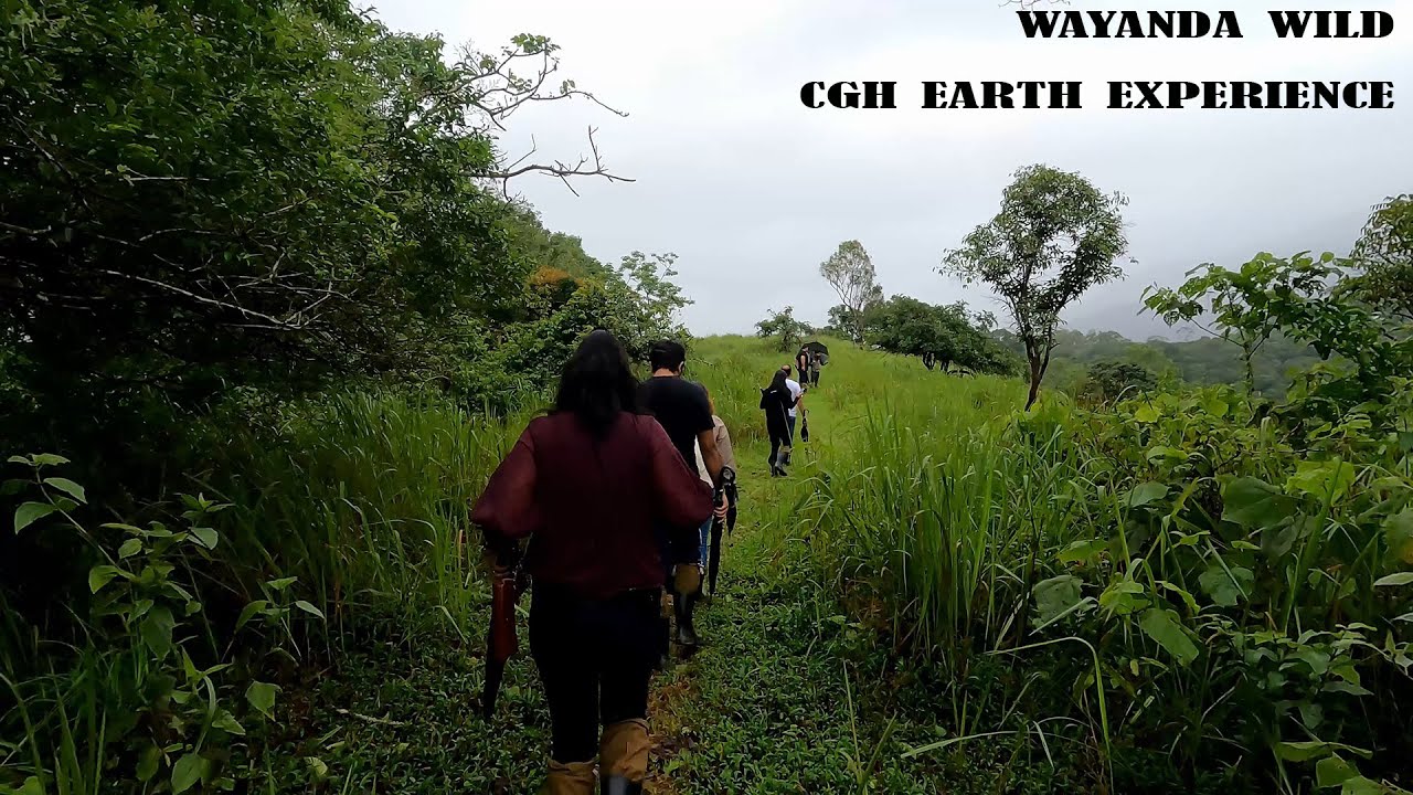 Naturewalk (Trekking) at Wayanad Wild - a CGH Earth Experience, Lakkidi, Vythiri, Wayanad, Kerala