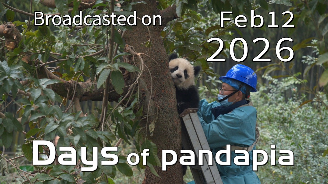 20260212 Broadcast Top Highlights 08