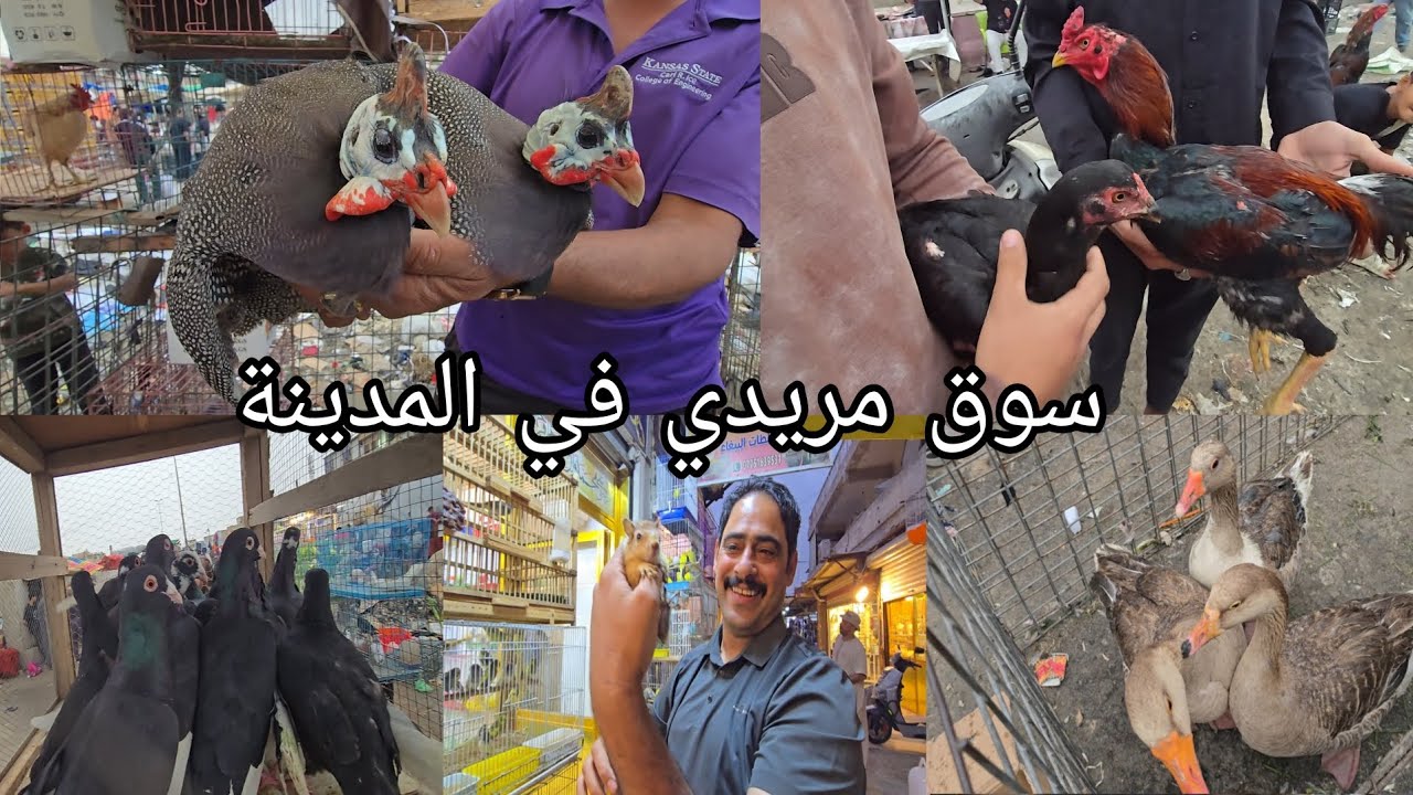 سوق مريدي في بغداد منطقة المدينة |سوك الغزل الثاني يوم الأربعاء 2026/4/١٥