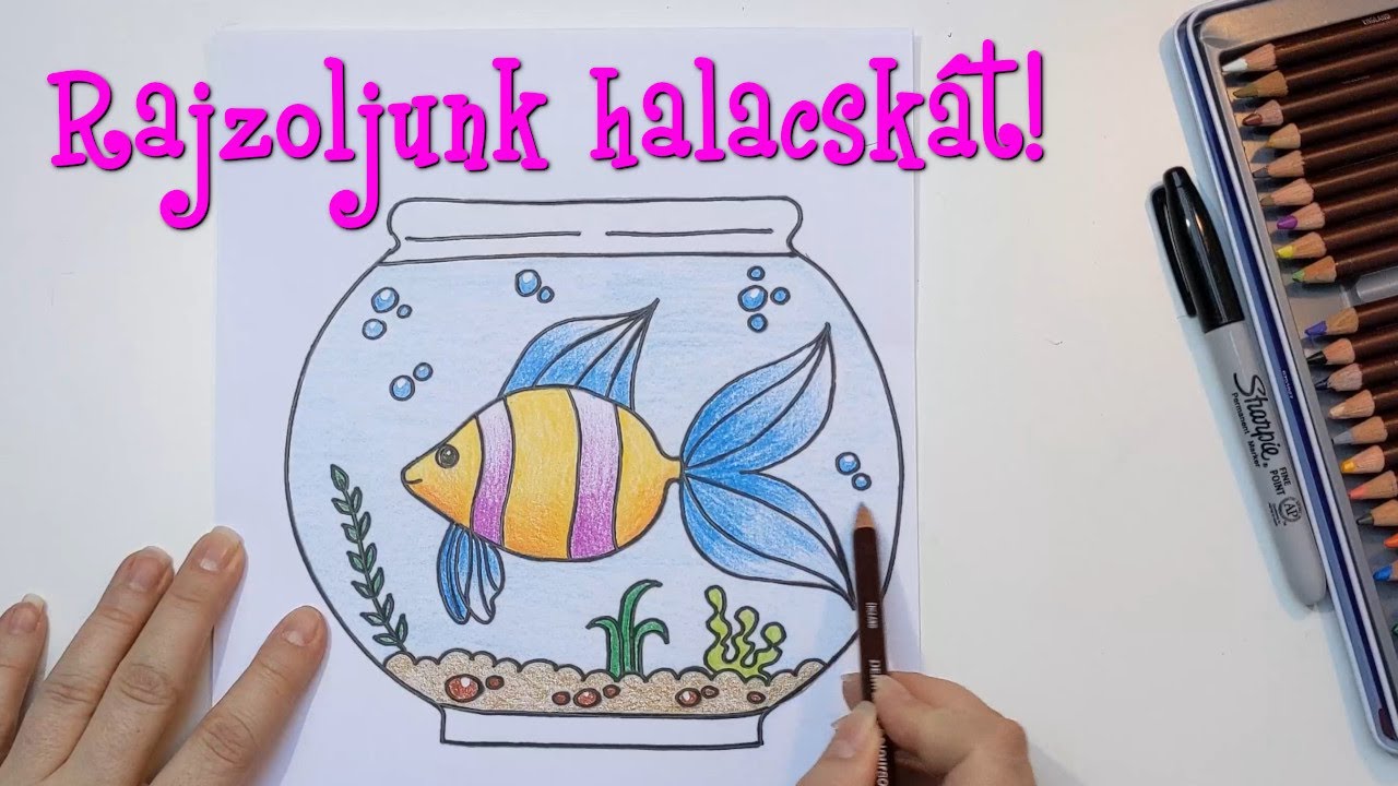 Rajzoljunk halacskát! (Óvodásoknak és kisiskolásoknak)