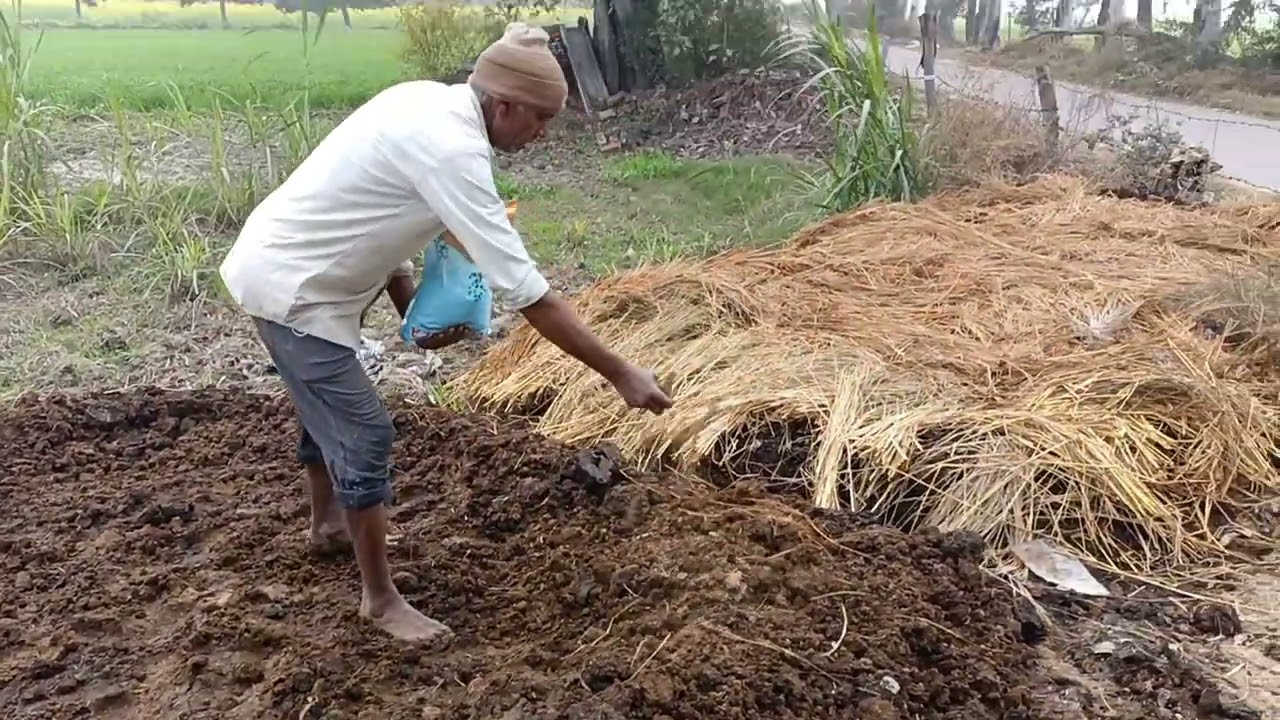 गोबर की खाद कैसे तैयार करे , जल्दी व सस्ते मैं । 1 ट्रॉली ही काफ़ी हैं 1 एकर मैं